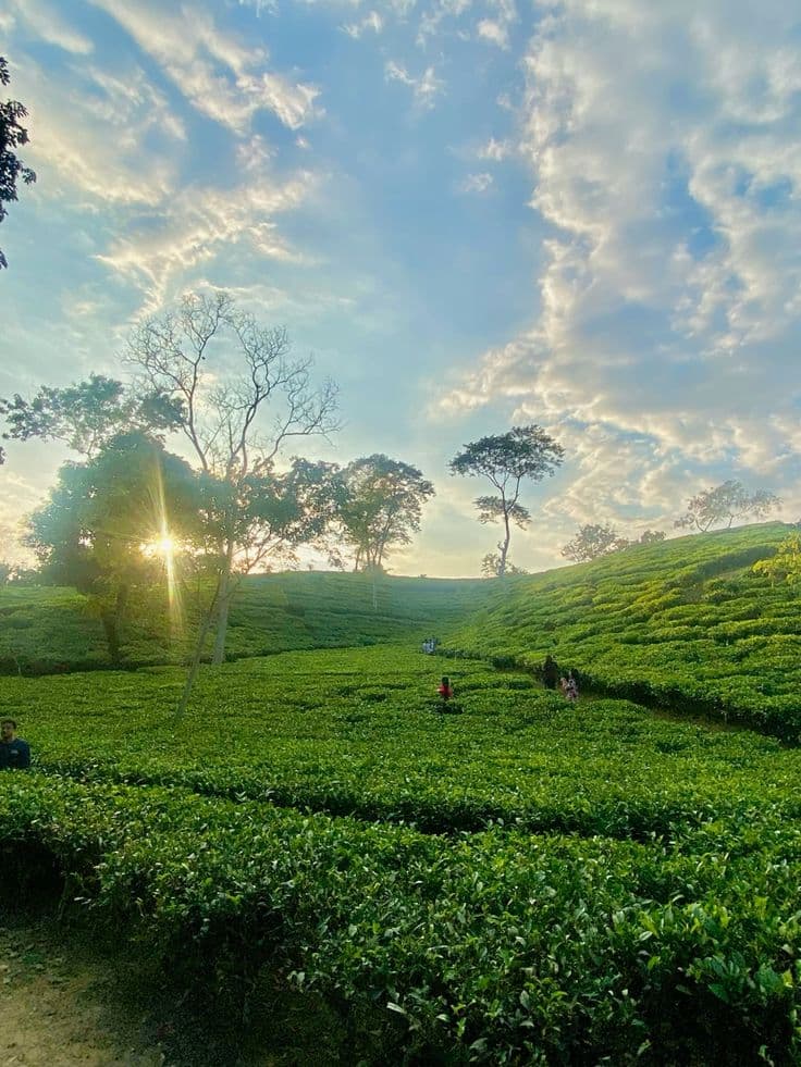 Sylhet, Bangladesh